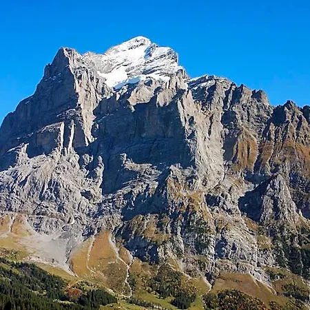 Bluemlisalp Hotel Grindelwald